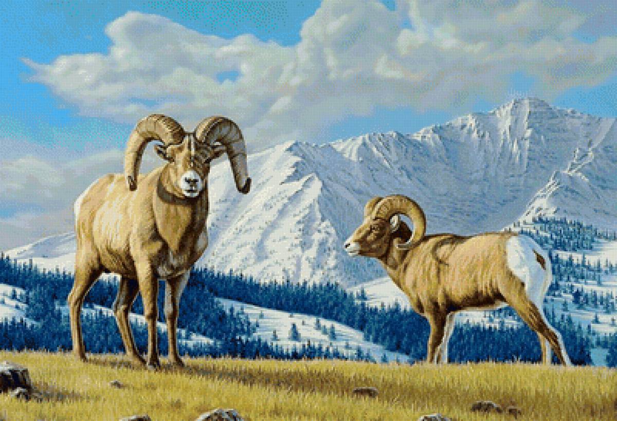 №1987737 - животные, горы - предпросмотр