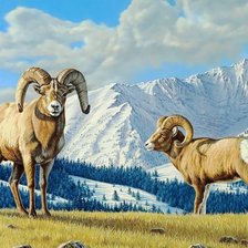 Схема вышивки «№1987737»