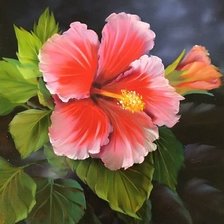 Схема вышивки «№1987779»