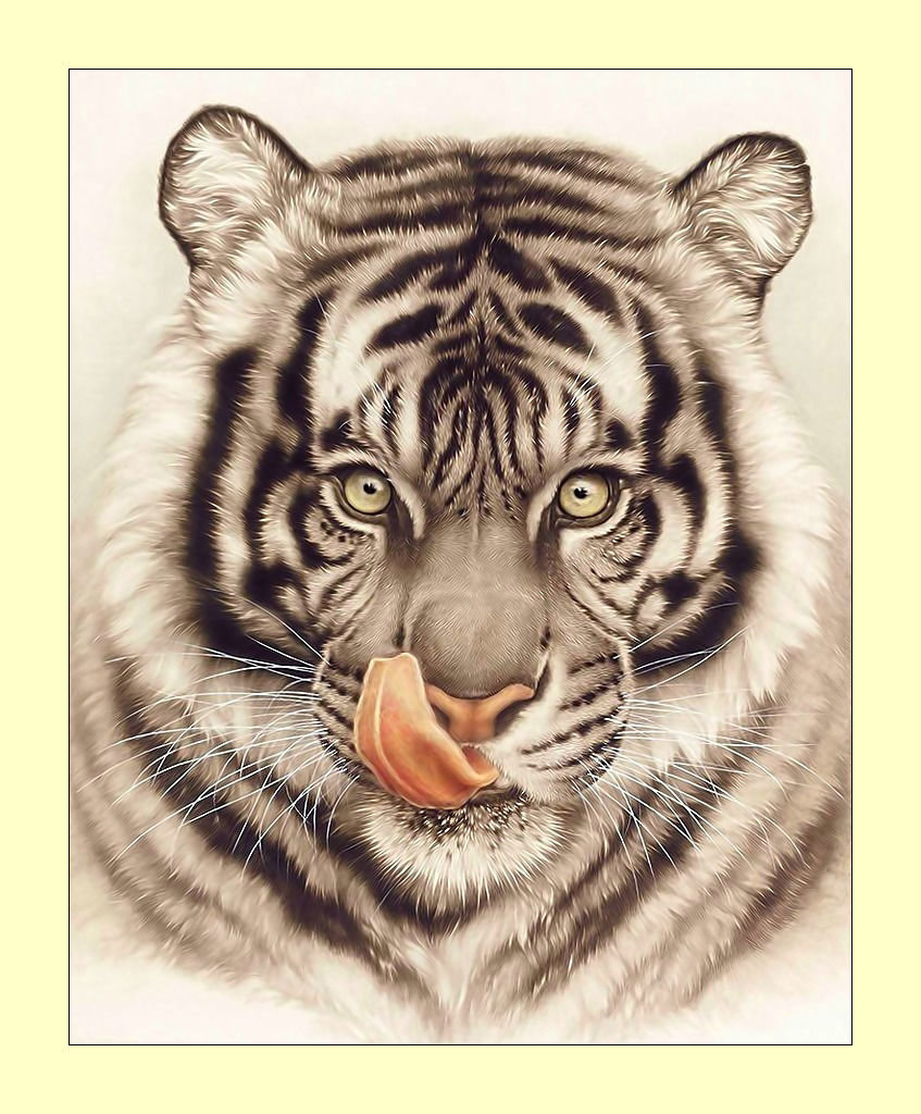 Тигр. - хищник, животные, тигр - оригинал