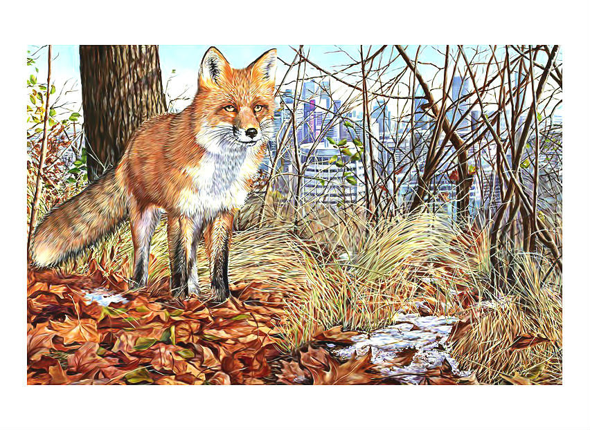 Лиса - животные, звери - оригинал