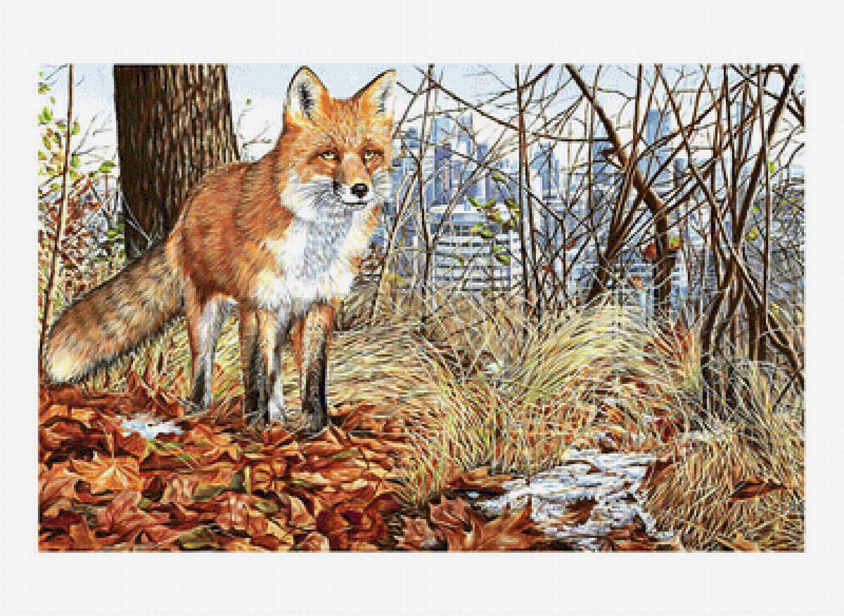 Лиса - звери, животные - предпросмотр