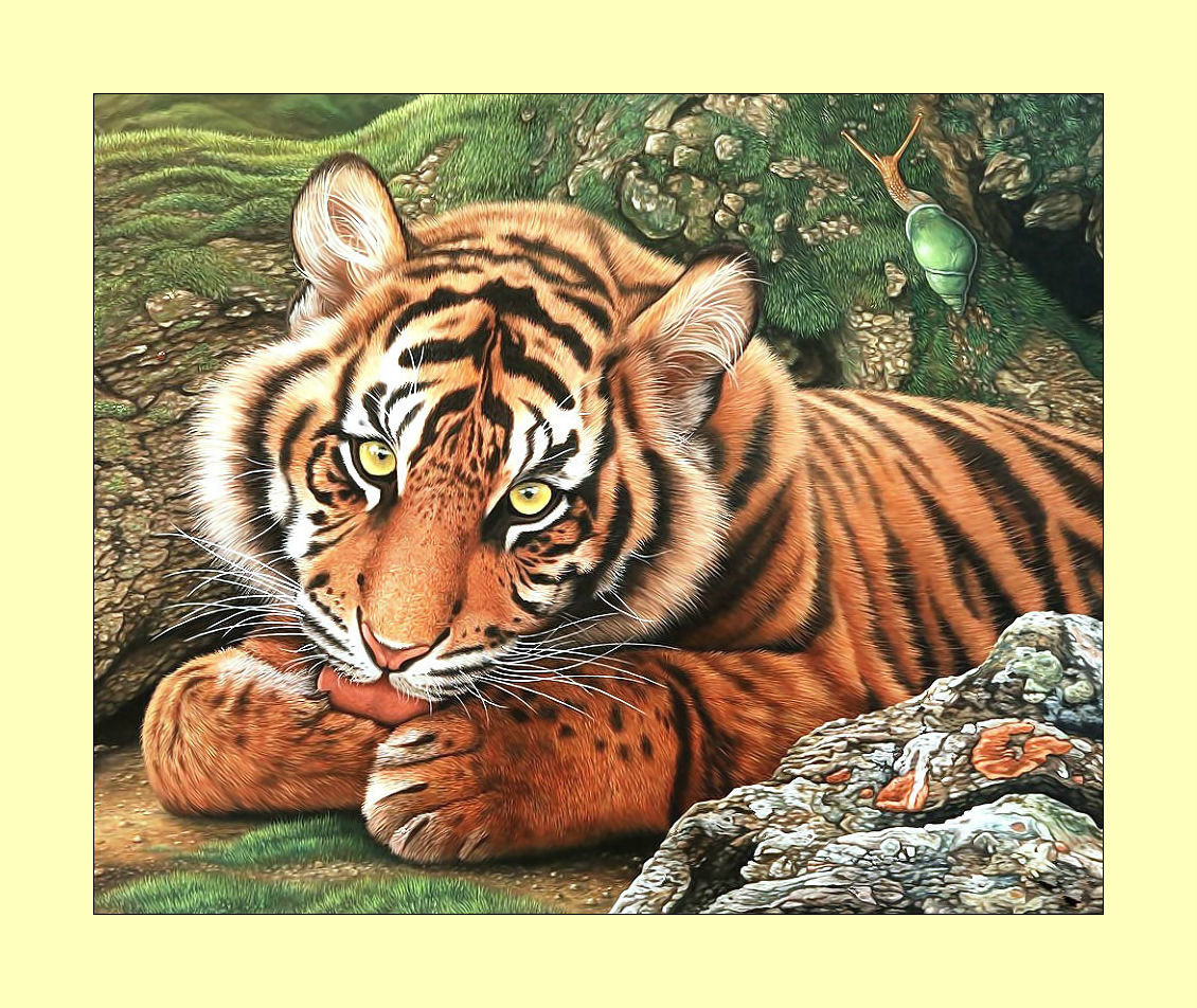 Маленький тигрёнок. - тигр, тигренок, хищник, животные, живопись - оригинал