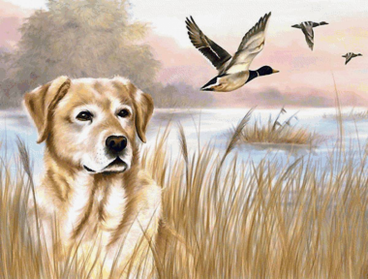 №1988461 - предпросмотр