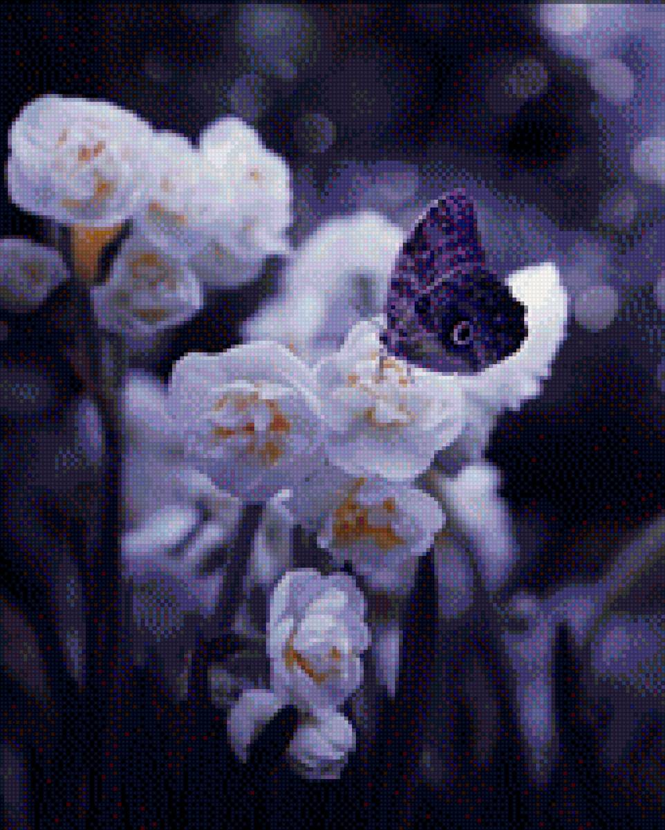 Цветы - предпросмотр