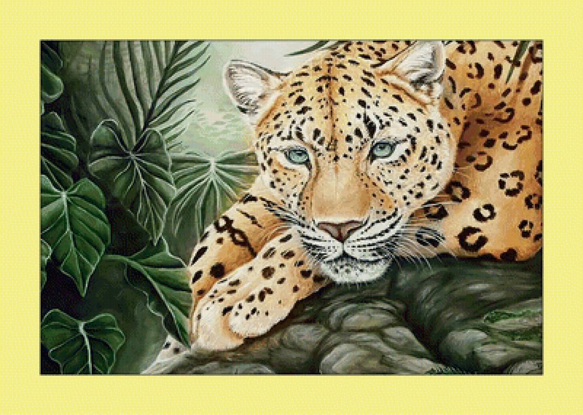 Леопард. - взгляд, леопард, животные, хищник - предпросмотр