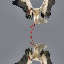 Схема вышивки «№1988688»