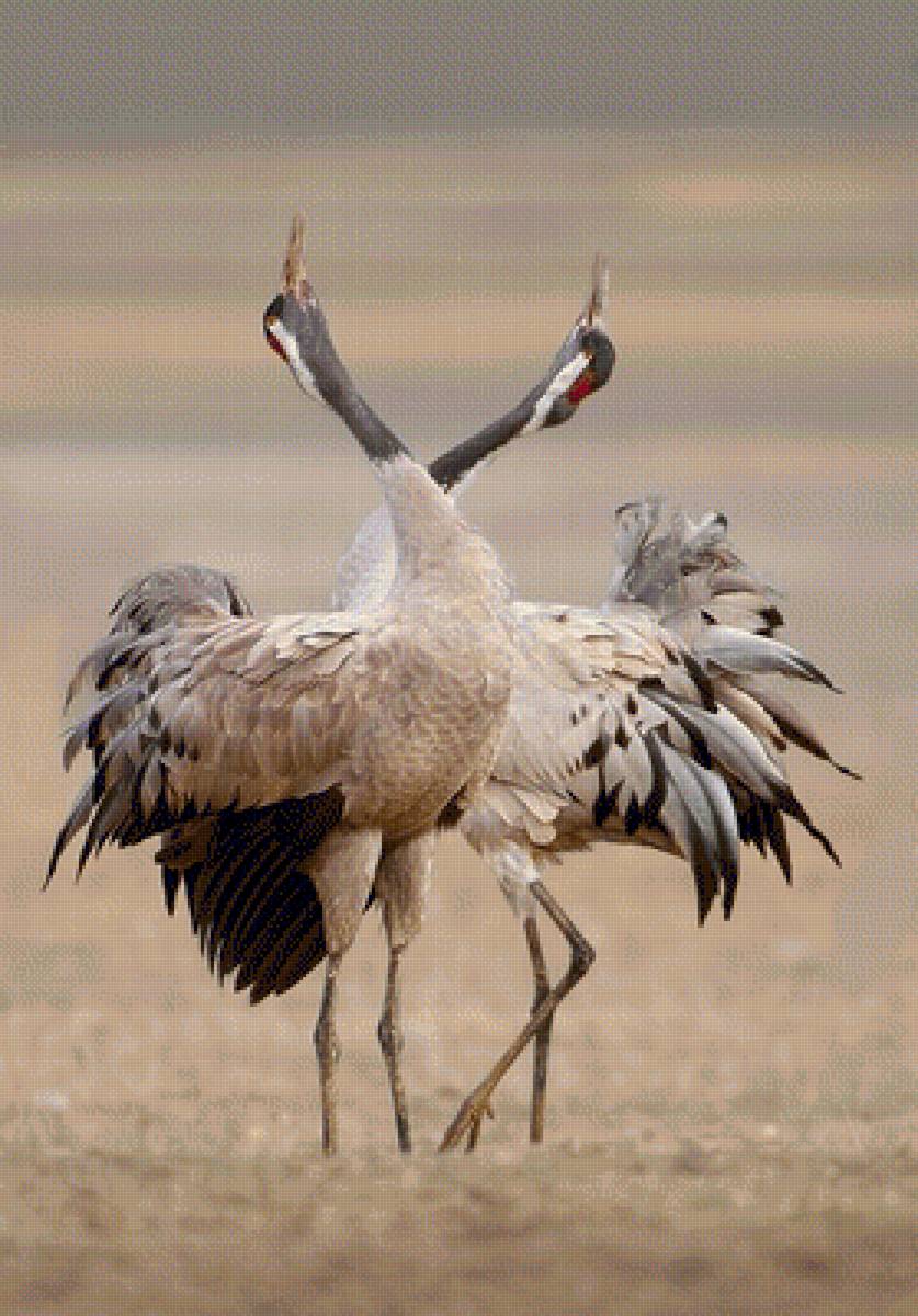 №1988690 - предпросмотр