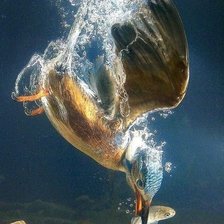 Схема вышивки «№1988717»