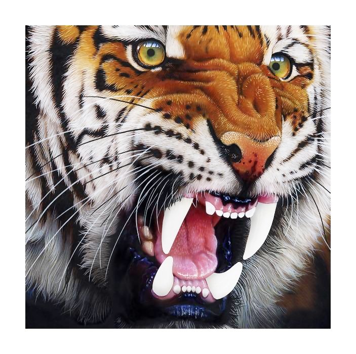 №1989149 - животные, тигры, хищники, тигр - оригинал