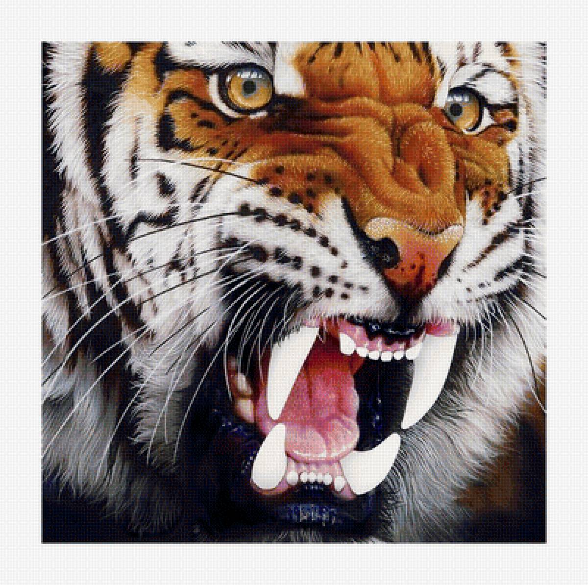 №1989149 - животные, тигры, тигр, хищники - предпросмотр