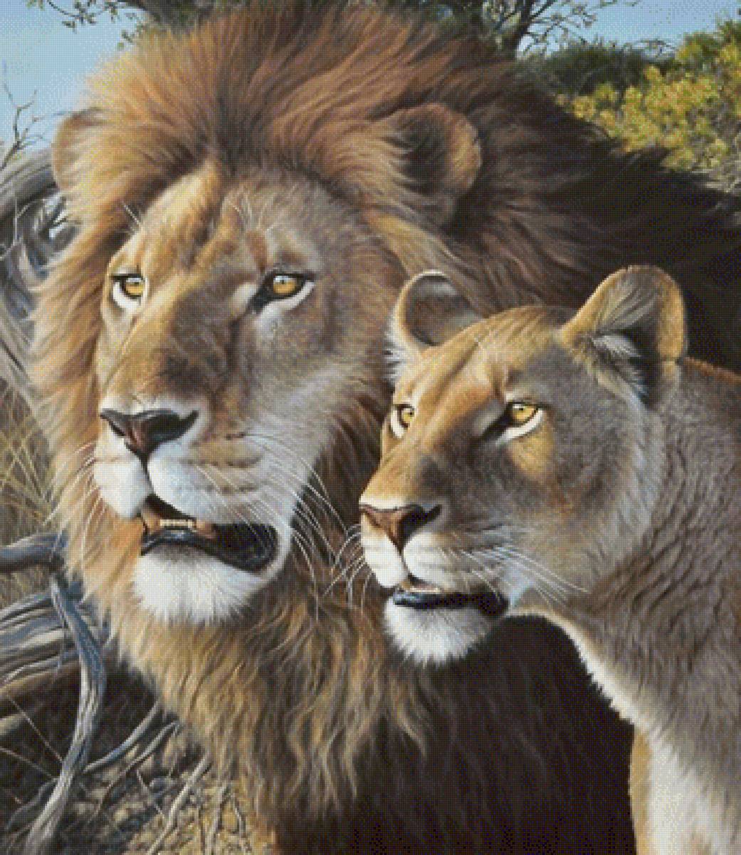 №1989206 - хищники, животные - предпросмотр