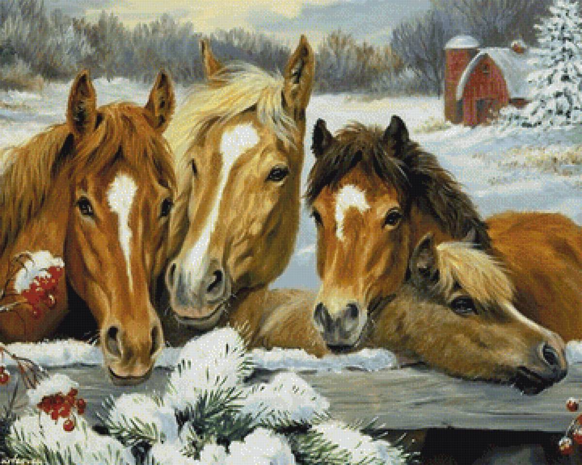 Лошади - лошади, животные, домашние животные - предпросмотр
