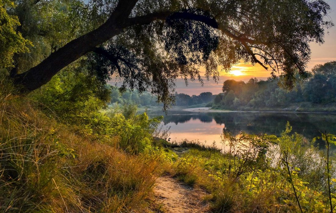 №1989272 - природа, вода, солнце, вечер - оригинал