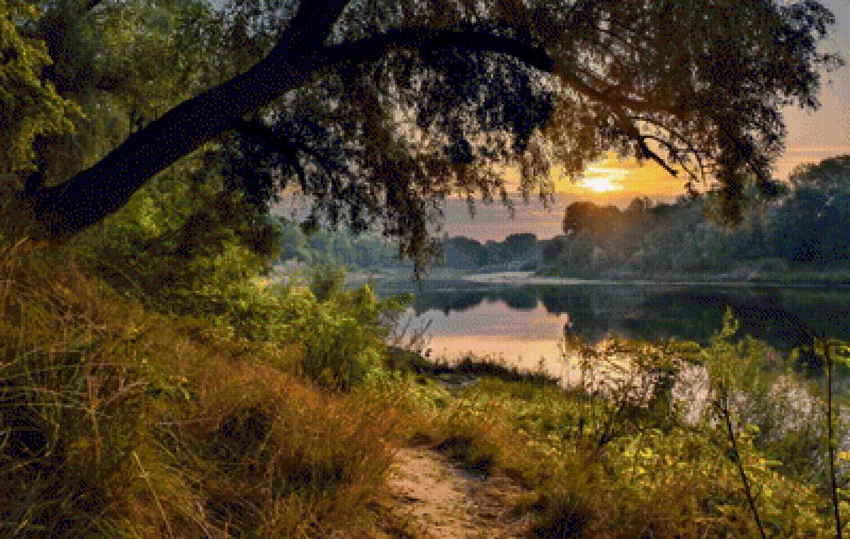 №1989272 - природа, вода, солнце, вечер - предпросмотр