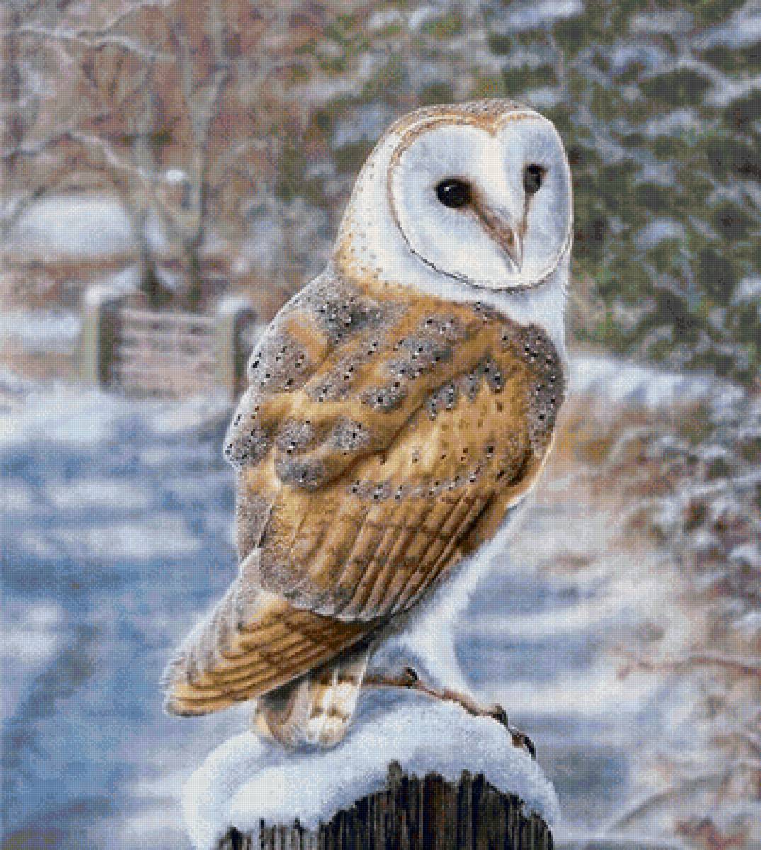 птицы - предпросмотр