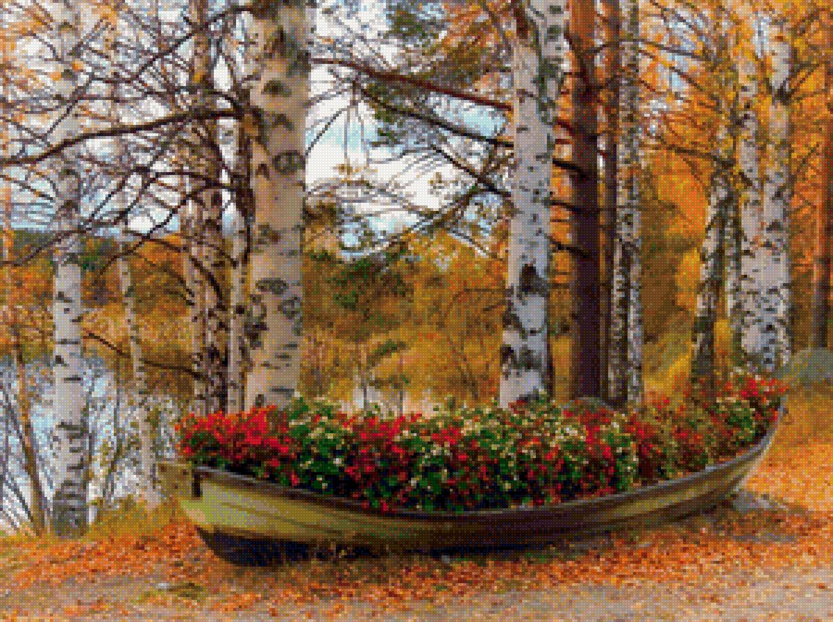 лодка цветов - цветы, береза, природа - предпросмотр