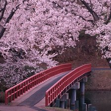 Схема вышивки «Сакура цветёт»