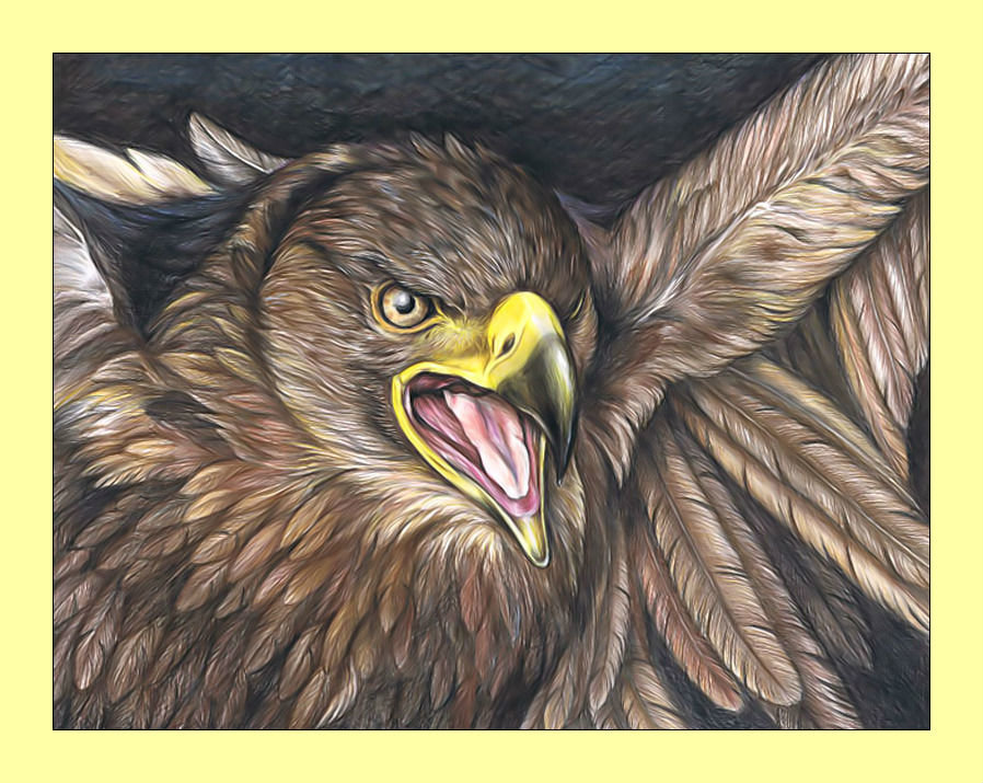 Хищная ярость. - птица, ястреб, орел, хищник - оригинал