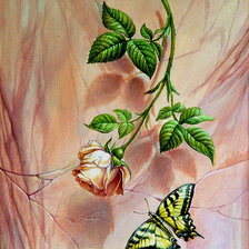 Схема вышивки «цветок и бабочка»