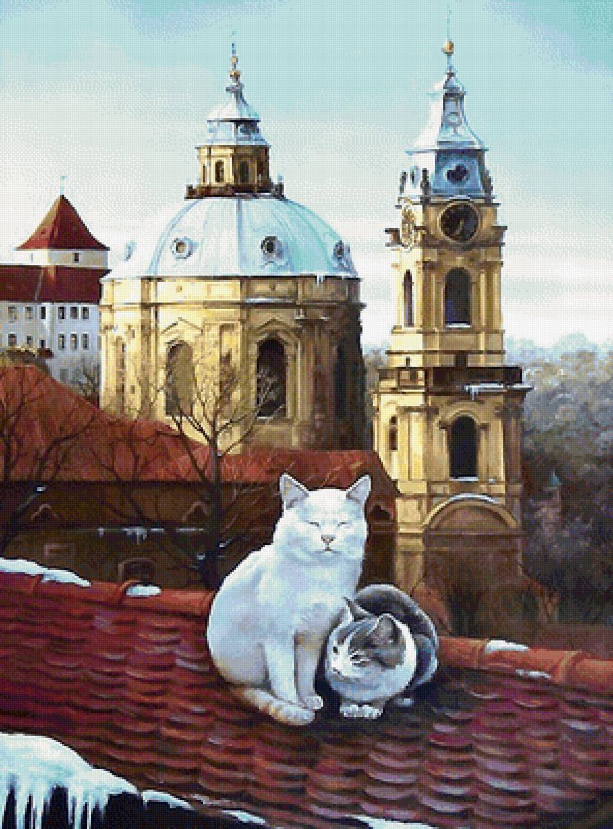 пражские коты - крыша, коты - предпросмотр