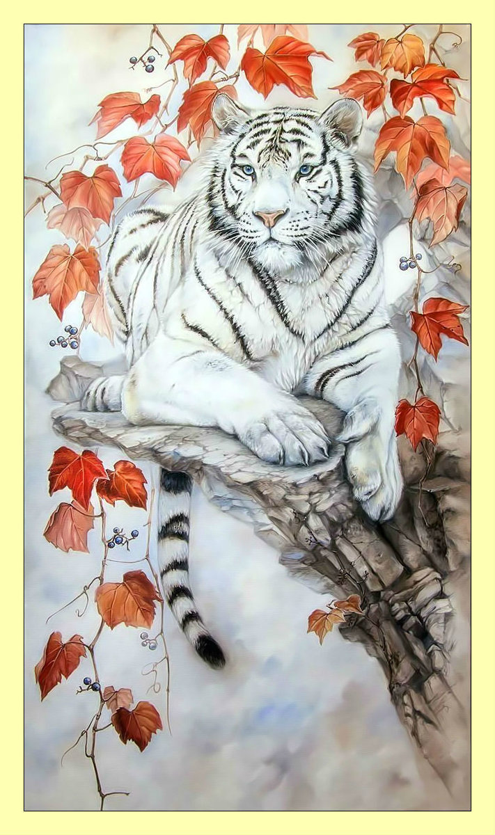 Белый тигр. - тигр, хищник, животные, взгляд - оригинал
