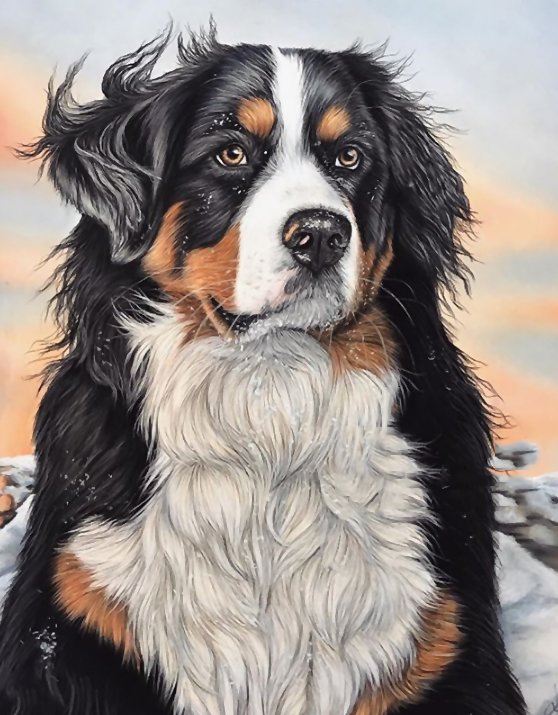 №1990045 - собаки, животные - оригинал