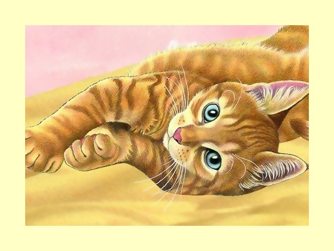 №1990054 - коты, животные - оригинал