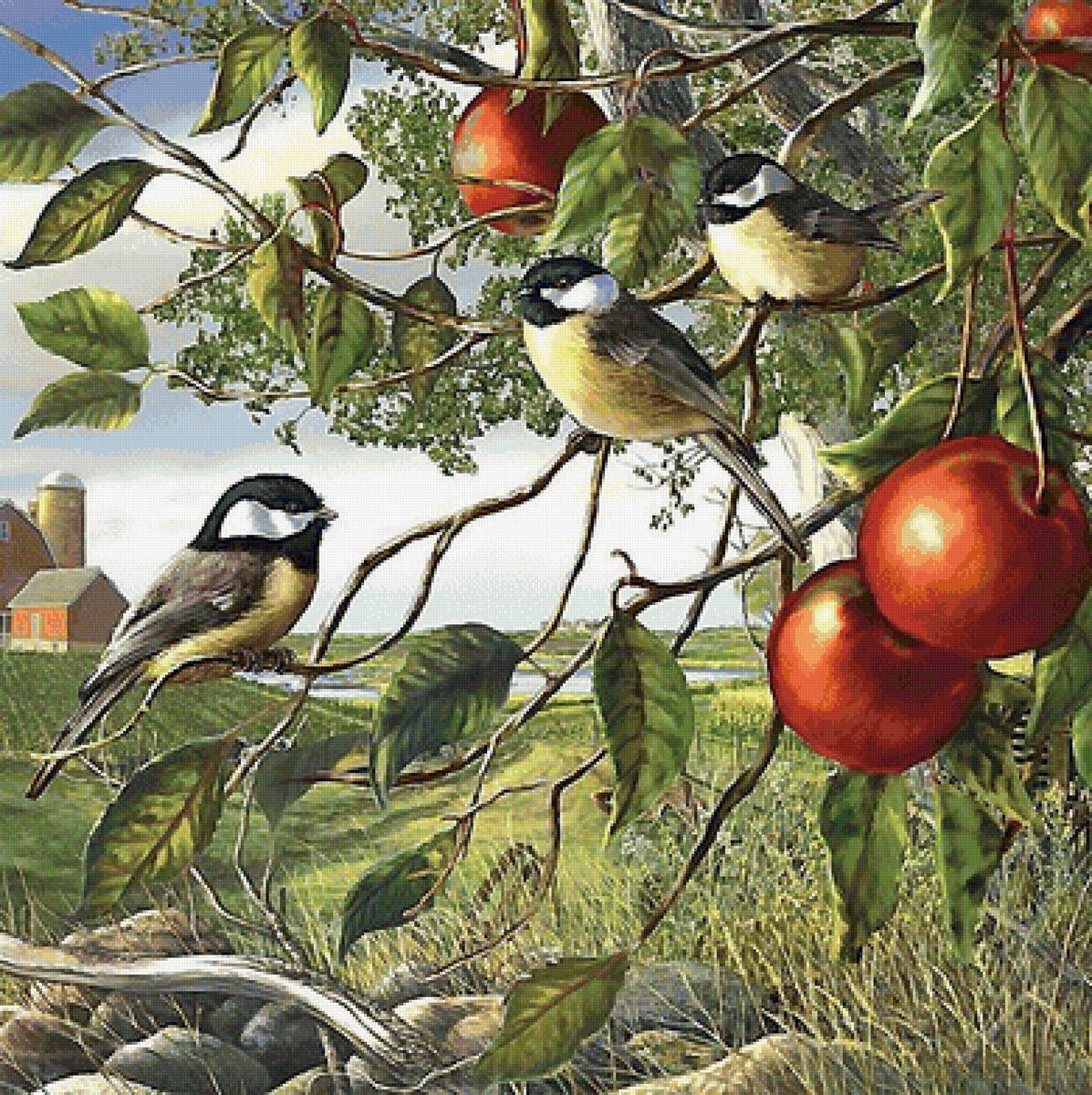 птицы - птицы - предпросмотр