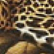 Предпросмотр схемы вышивки «Леопард.» (№1990265)
