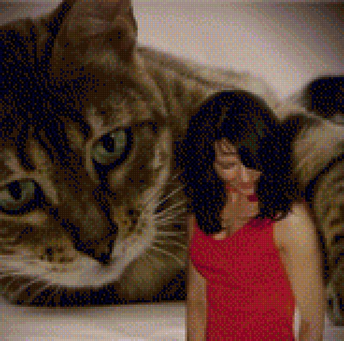 Draudzene - предпросмотр