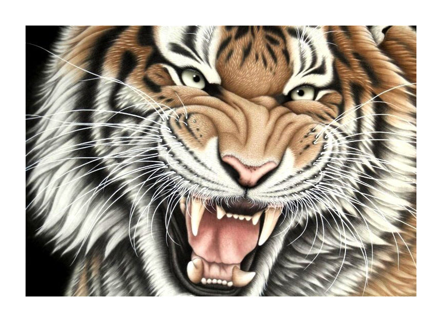 Серия "Хищники". Тигр - животные, хищники, тигр - оригинал