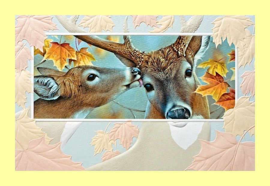 №1990913 - животные, олени - оригинал