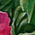 Предпросмотр схемы вышивки «kvety» (№1990995)