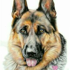 Схема вышивки «Собака»