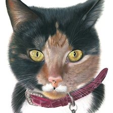 Схема вышивки «Кошечка»