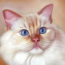 Схема вышивки «Кошечка»