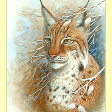 Схема вышивки «Рысь.»