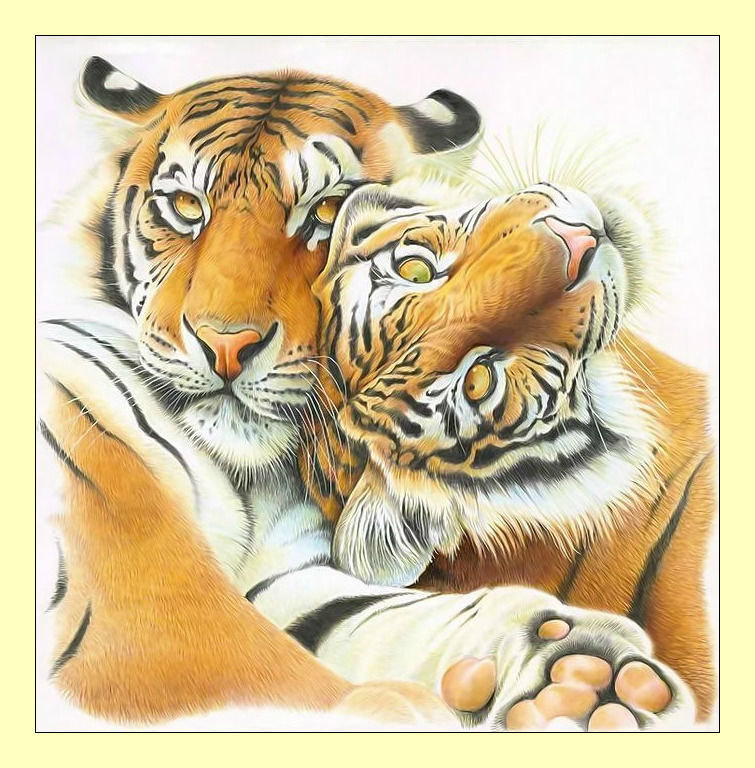 Тигры. - животные, живопись, взгляд, ласка, хищники, тигры - оригинал