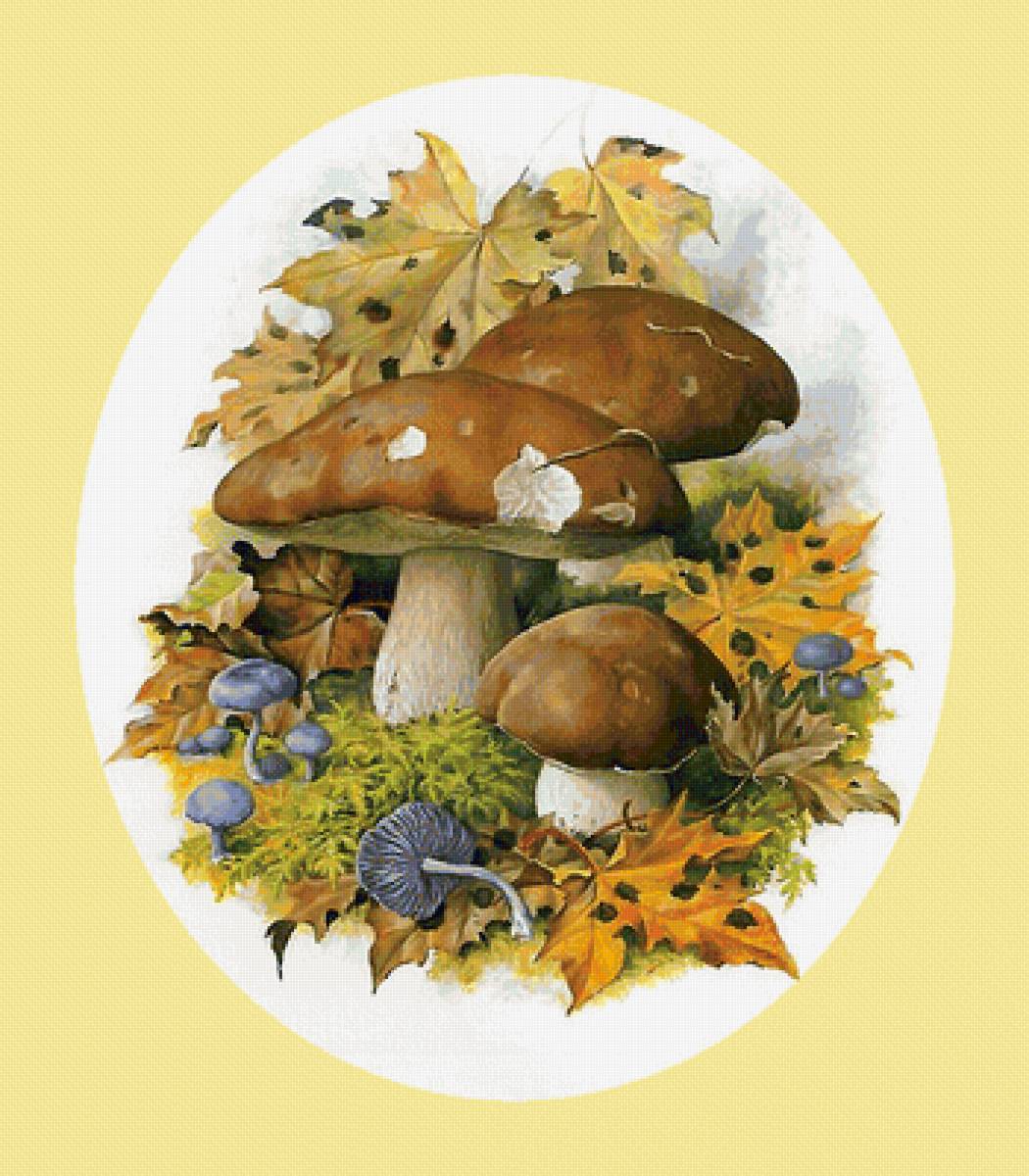 Осенние грибы акварелью