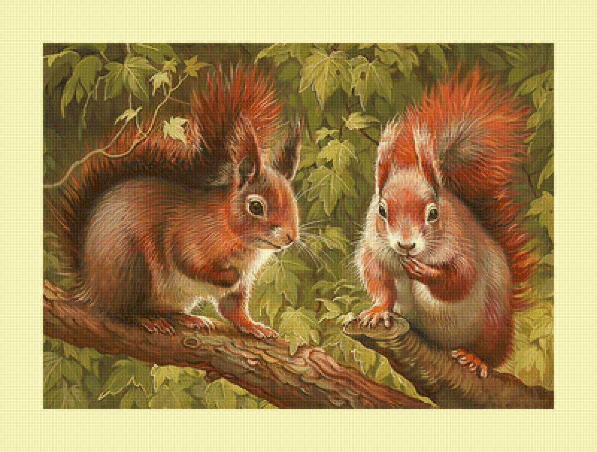 Белки. - белки, грызуны, животные - предпросмотр