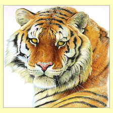Схема вышивки «Тигр.»