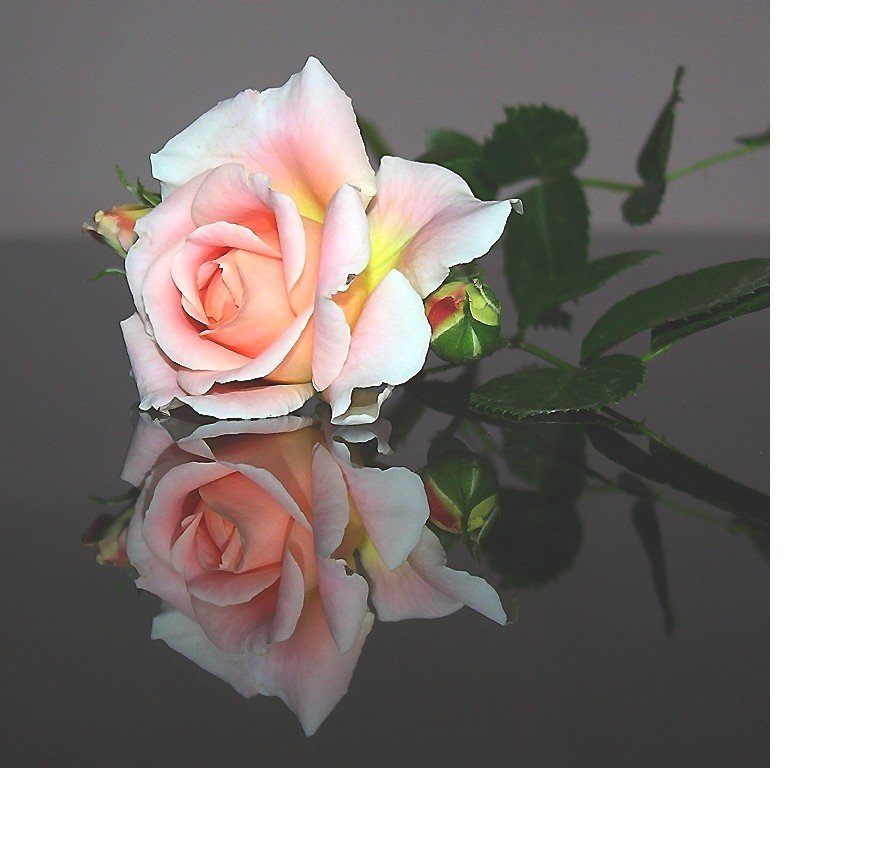 №1991930 - оригинал