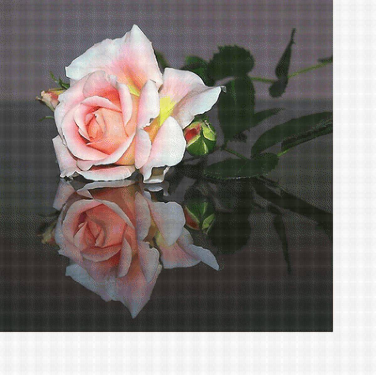 №1991930 - предпросмотр