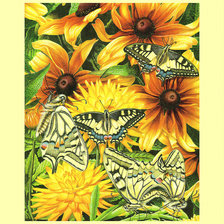 Схема вышивки «Цветы и бабочки.»