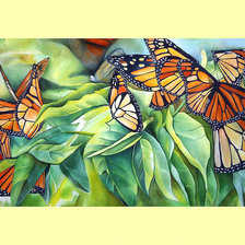 Схема вышивки «Бабочки.»