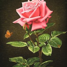 Схема вышивки «Роза»