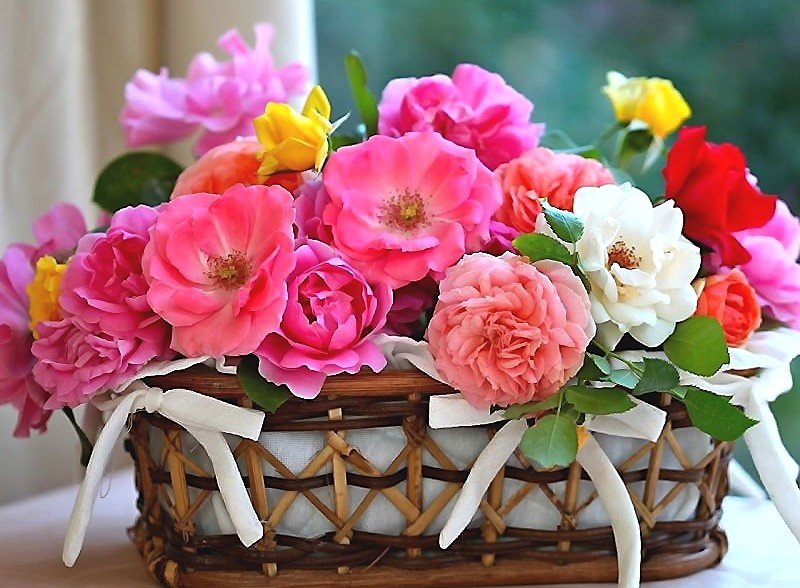 Розы - розы, цветы - оригинал