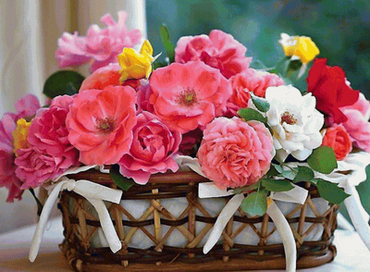 Розы - цветы, розы - предпросмотр