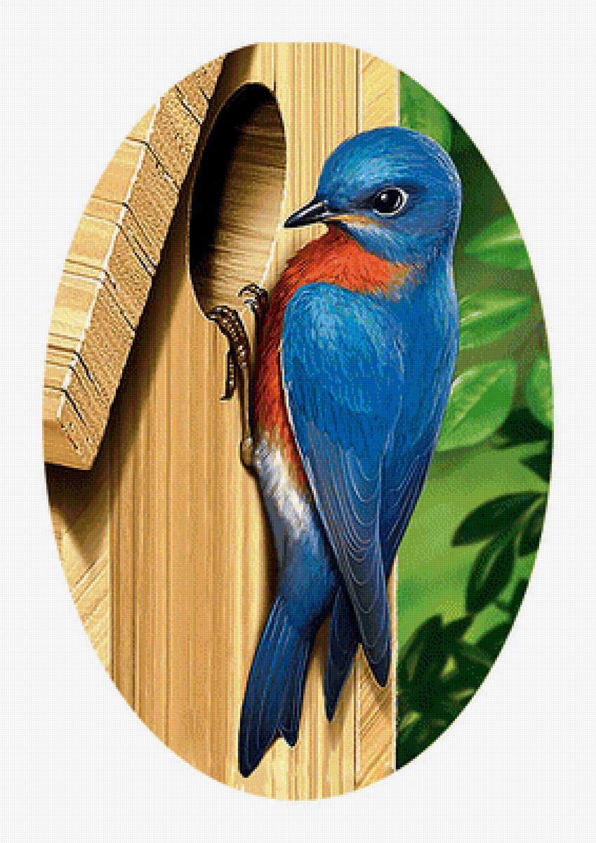 Серия "Птицы" - птицы, фауна - предпросмотр